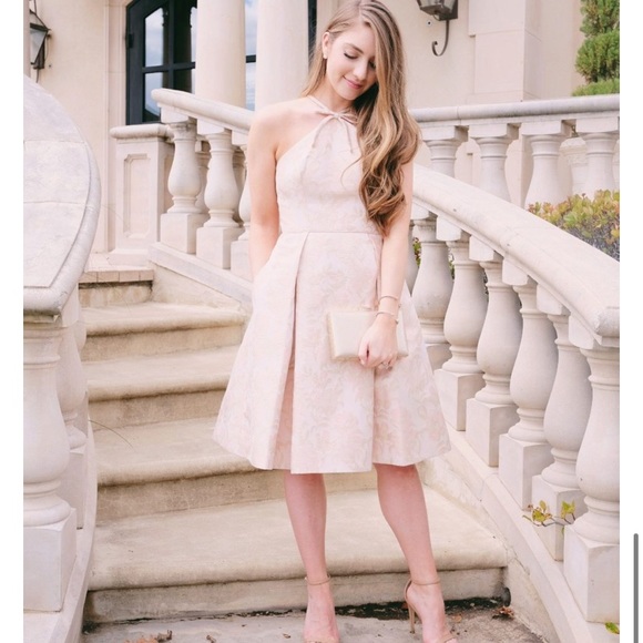 Gal Meets Glam Evelyn Holly Jacquard Halter Dress - Picture 4 of 14